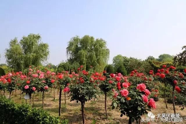 五一小长假第二天！再不玩就要等国庆了~