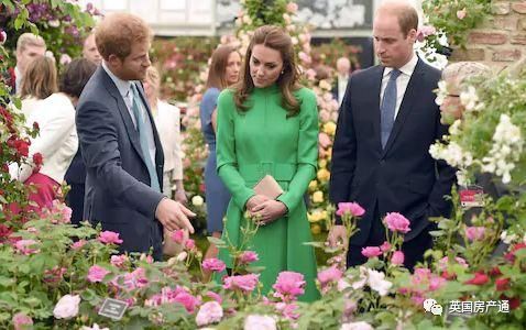 英国房产通：王室大婚过后，英国还有这件事连女王都不愿错过