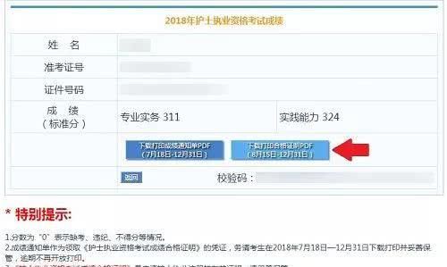 中国卫生人才网官方网入口