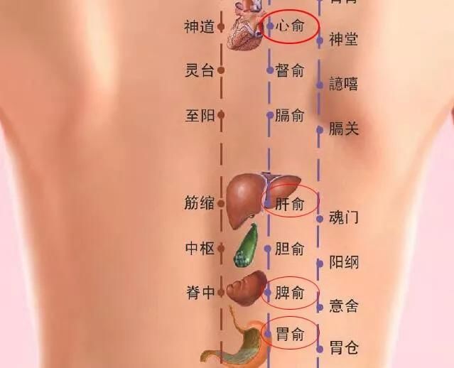 几招简单实用的推拿按摩 帮你轻松搞定“节后综合征”