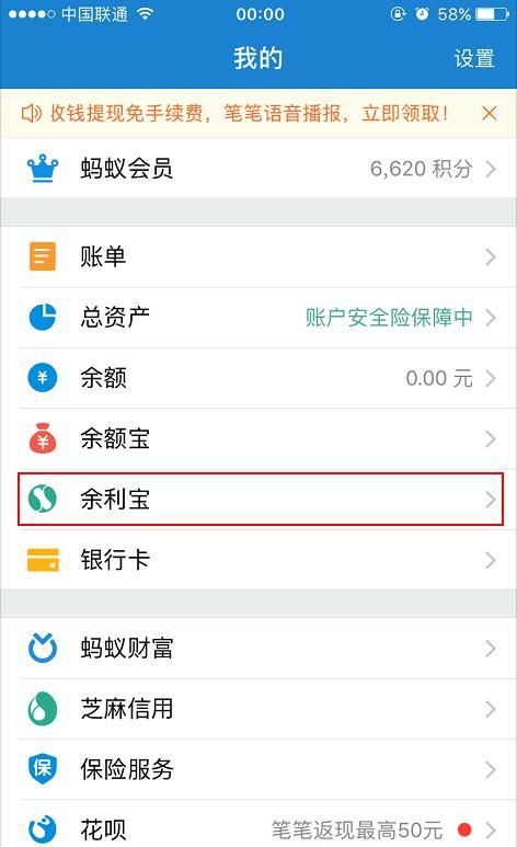 支付宝钱包_支付宝指出收入的意思(2)