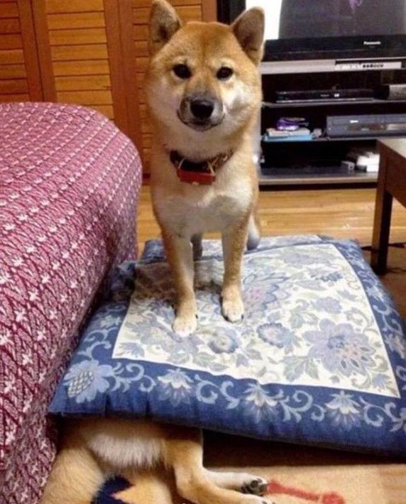 股市每日谈：四千亿抗了两天 晃你没商量