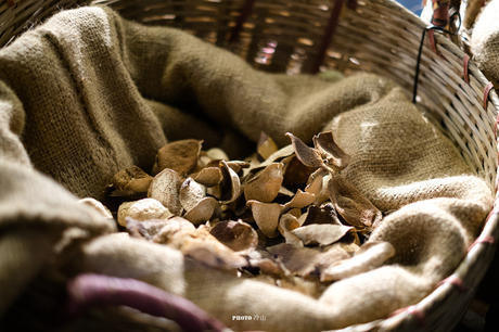 广东三宝之一,皮比肉贵,而且越陈越值钱