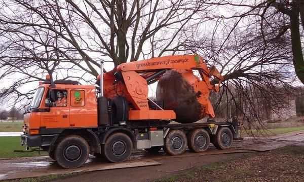 建设城市的作用