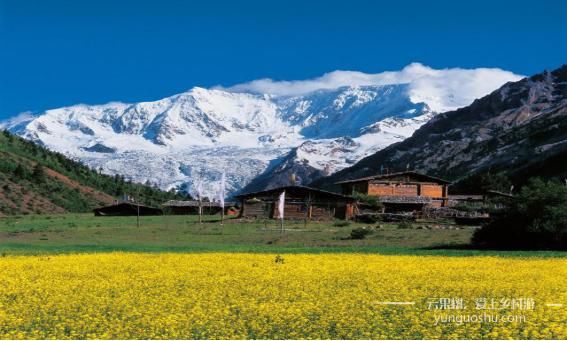 西藏波密县玉普乡的米堆村，绝美世外桃源