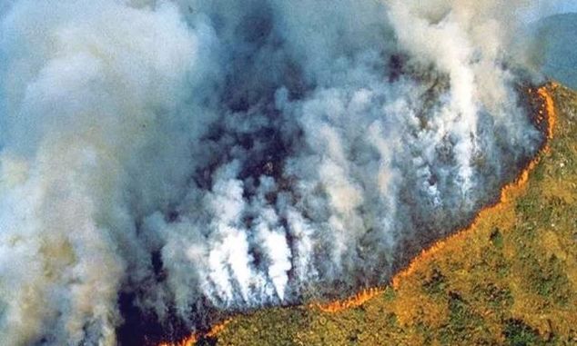 澳大利亚被烧了