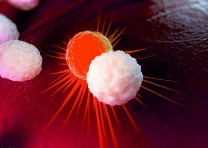 没有治不好的病，只有治不好的病人，关键在己不在医，癌症启示录