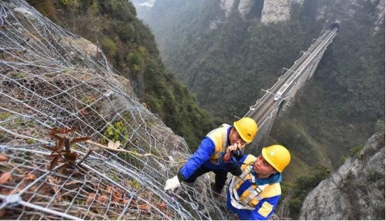 核心期刊主编回应发表儿子散文
