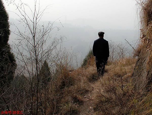 丈夫死于山难，十三年后，女儿看到像他背影的乞丐，身份不一般