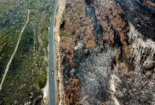 澳洲火灾会影响全球变暖吗