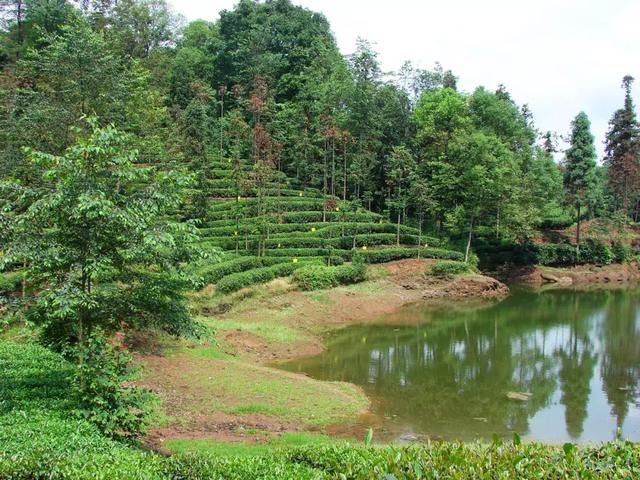 比都江堰还牛！成都南边这个小城，美景美食冷门到极致，1.5h到！