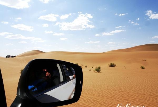 荒漠也不是荒漠了