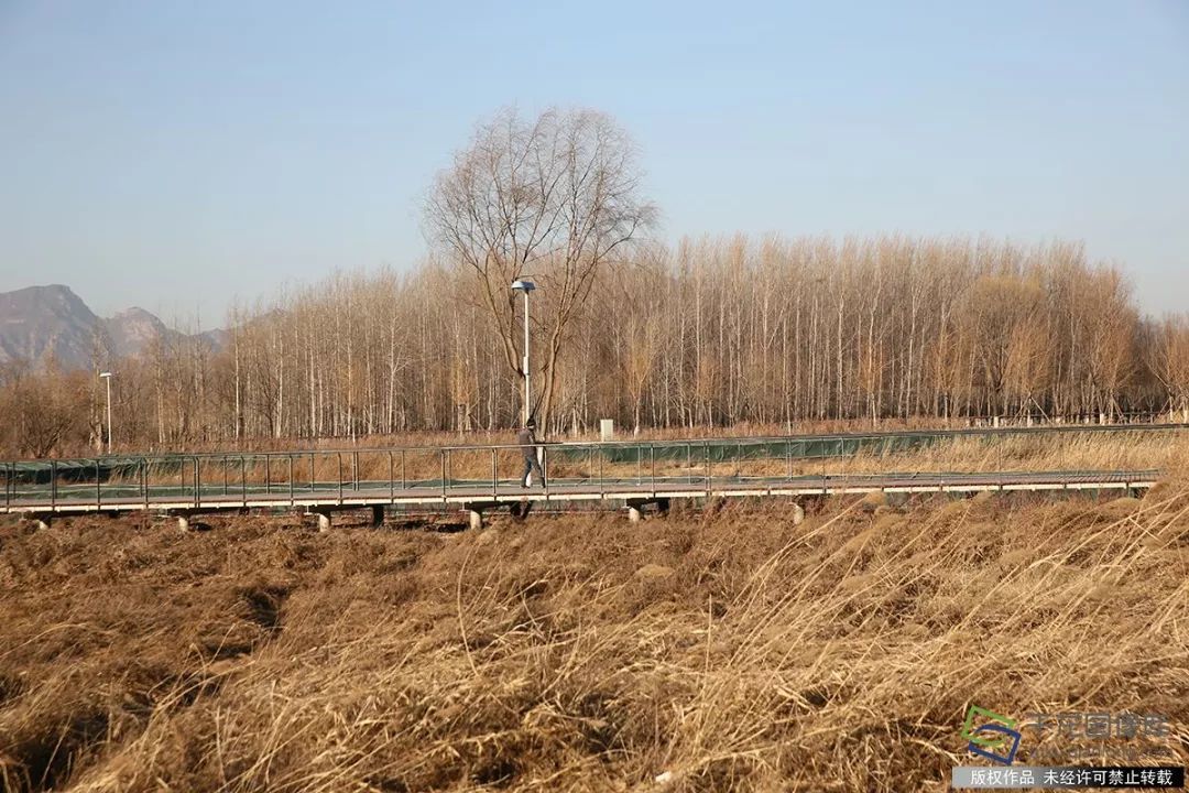 2019北京世园会个人票今起发售,预约购买看这