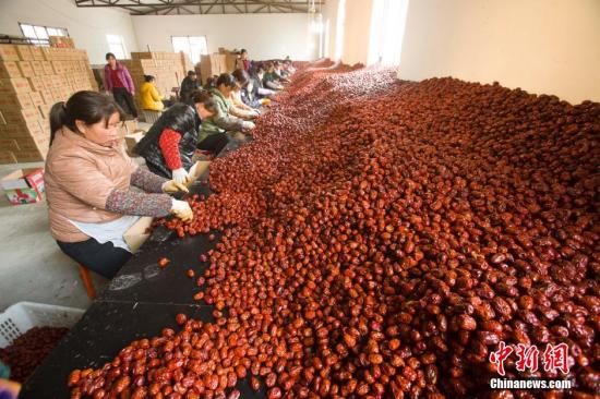 红枣期货冲刺上市!中国期货市场又迎新品种