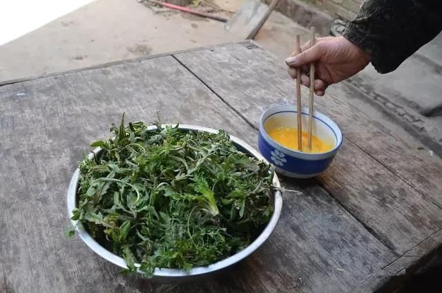 农村的野菜荠荠菜竟有这么多功效， 春季不吃待何时？