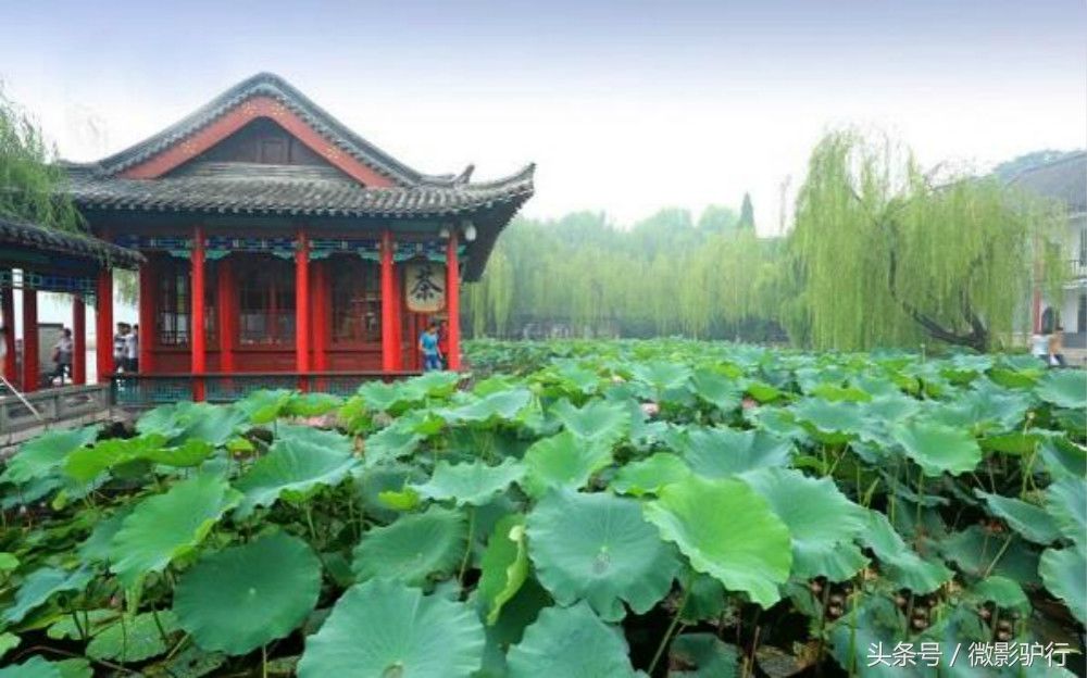 济南篇:占济南旧城四分之一的天然湖泊大明湖到底有什么景色?