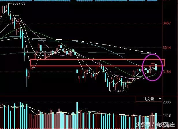 砸盘王：上海分公司大佬最近操作解析，为何加仓罗牛山？