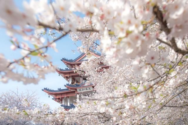 2018春天国内最美的30个地方,你去过几个?
