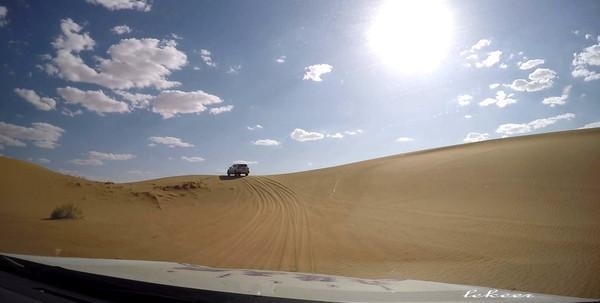 荒漠也不是荒漠了