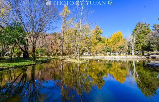 丽江束河古镇15元的早餐，一碗米线一个纳西粑粑，还算合理吧？