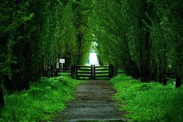 去日本最“慢”的城市感受四季变化