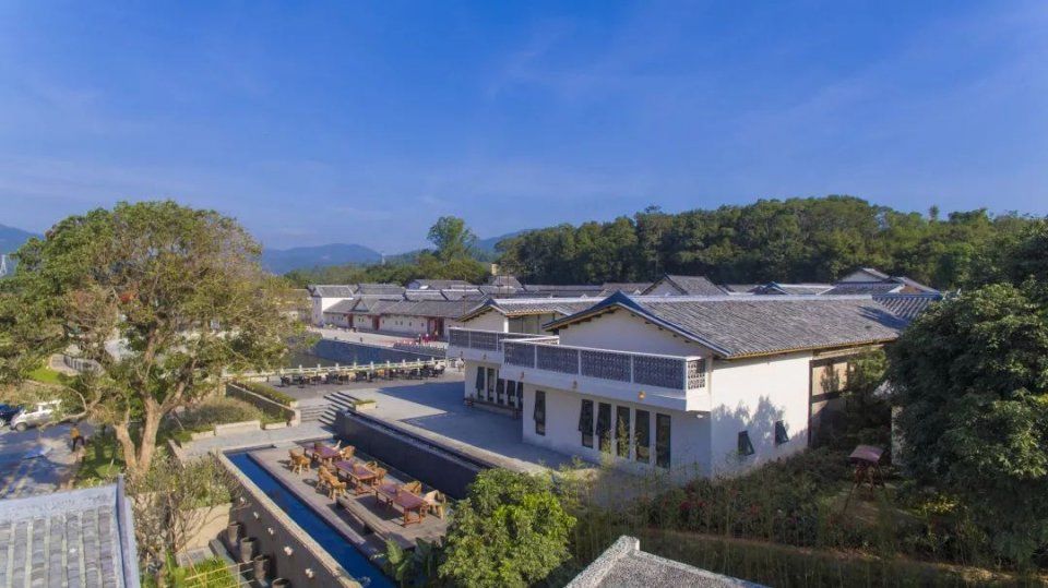 国家文化和旅游部部长及省市领导视察碧桂园凤