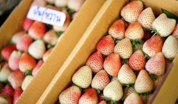 泰国最美国家公园：因他农山