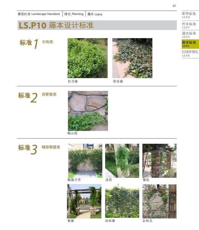 恒大、万科地产园林景观施工图集