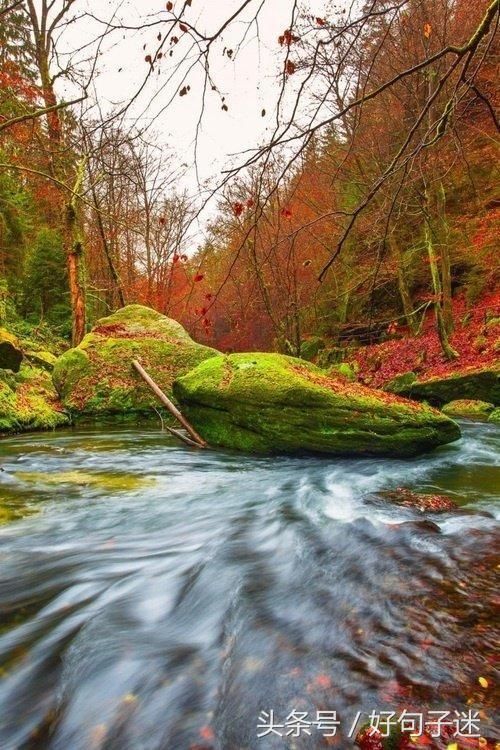 最近朋友圈很火的一段话,句句精辟透彻!