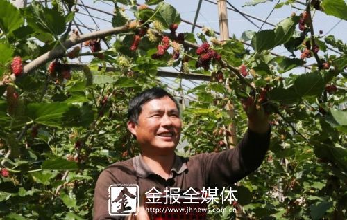 “五一”小长假 带你遇见水果味的初夏