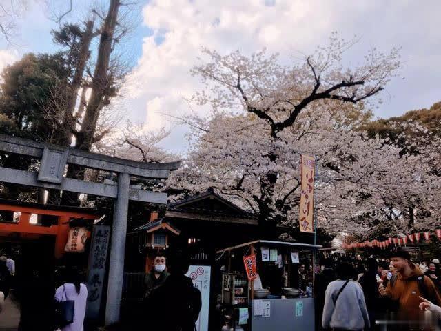 向佐郭碧婷合体,微博合照第一次官宣,日本浪漫