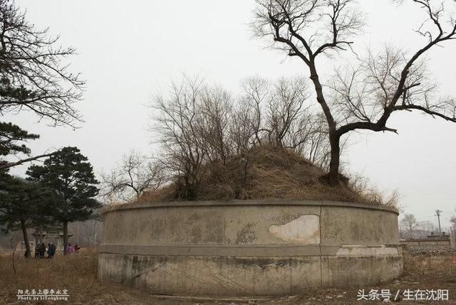 书接上文-沈阳法库杨宇霆墓地旧址