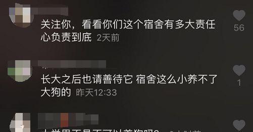 佳能小画幅相机