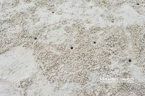 国家为什么不管北海