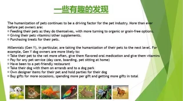 中国宠物行业如何出海?亚马逊、京东、阿里L