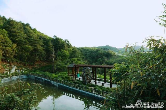 汉中这个地方有最壮美的高山草坝，你来过吗？