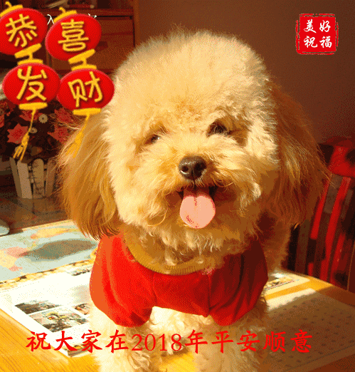 快过年了,最全的春节祝福和拜年动图送给朋友,快快收藏~