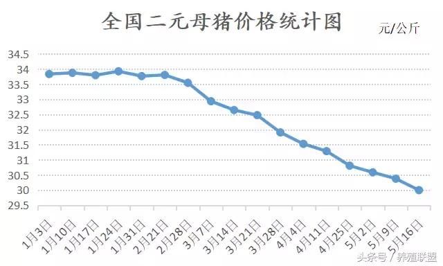 探底结束！6月猪价能否攻破“成本线”？