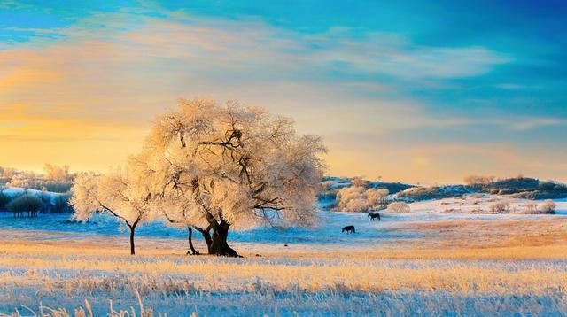 美国网友网友热议：一个人去中国旅游，能安全吗？