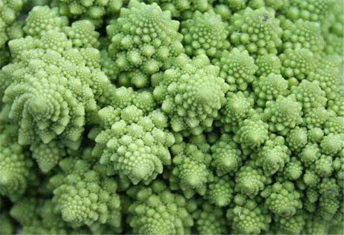 霍思燕家的这颗菜,我连见都没见过!吃1颗菜等于吃20个苹果