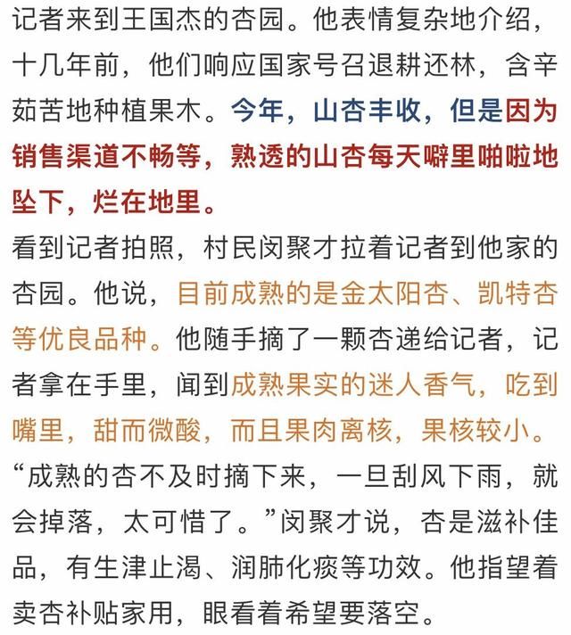 求助！250亩甜杏滞销烂地，看着心疼！请爱心人士帮帮咱们的许昌