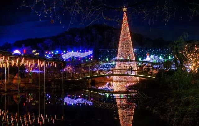 乐活旅行:错过了樱花，日本还有五处最美的紫藤花等着你!