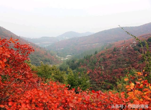 父母给的叫背景，自己打的叫江山！