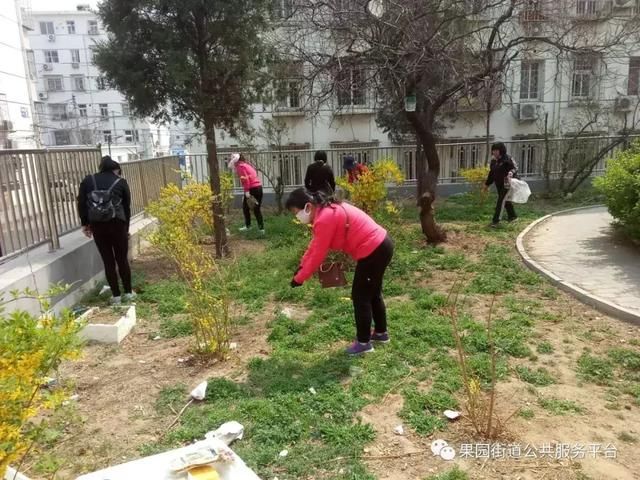 密云区果园街道各社区积极推进创卫工作,对辖