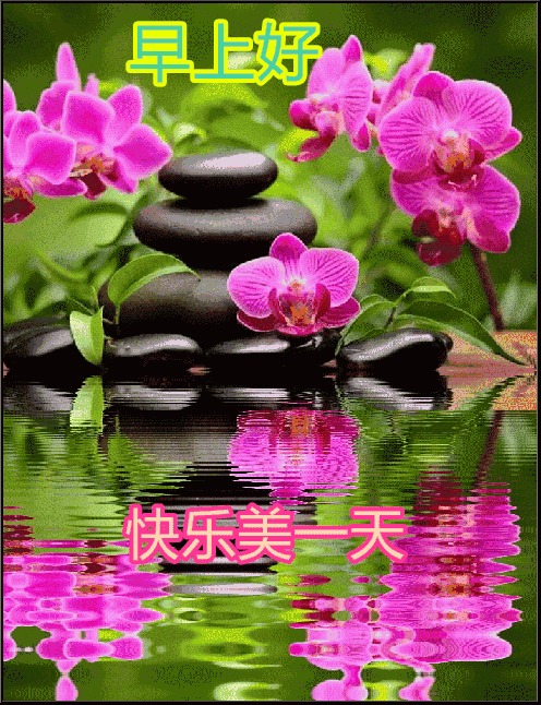 早上好最新精美动态图 早安祝福语表情精选