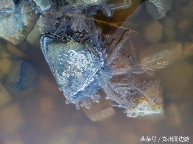 距离郑州3个小时车程，有一个盐湖拥有4000年的产盐史