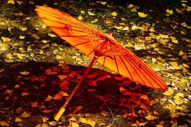 画质细腻 佳能微单EOS M100受青睐