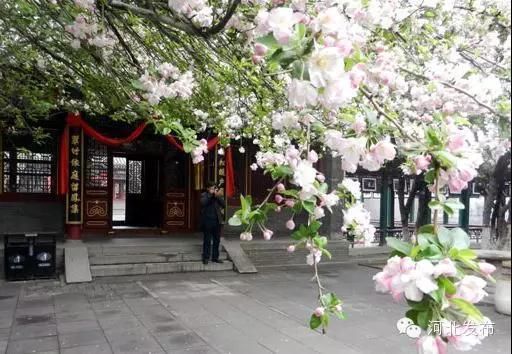 清明踏青赏花何处去？这份赏花地图请收好！