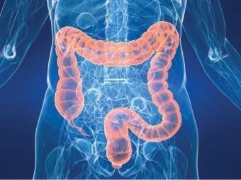 溃疡性结肠炎的症状有哪些，结肠炎饮食如何调理改善?
