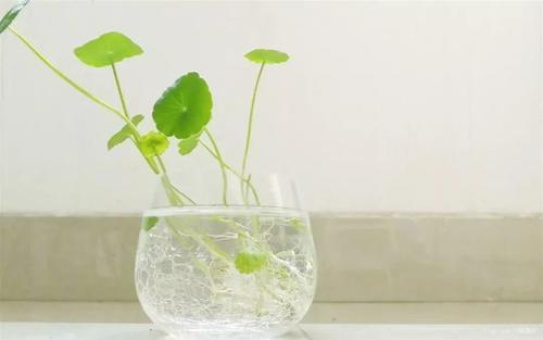 2018年最火最精辟的经典句子,言简意深